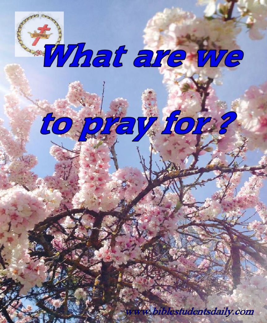 12042803_10206878583955130_8742014298779339433_n