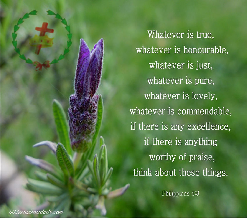 March 3rd - WITH ADDRESS .jpg