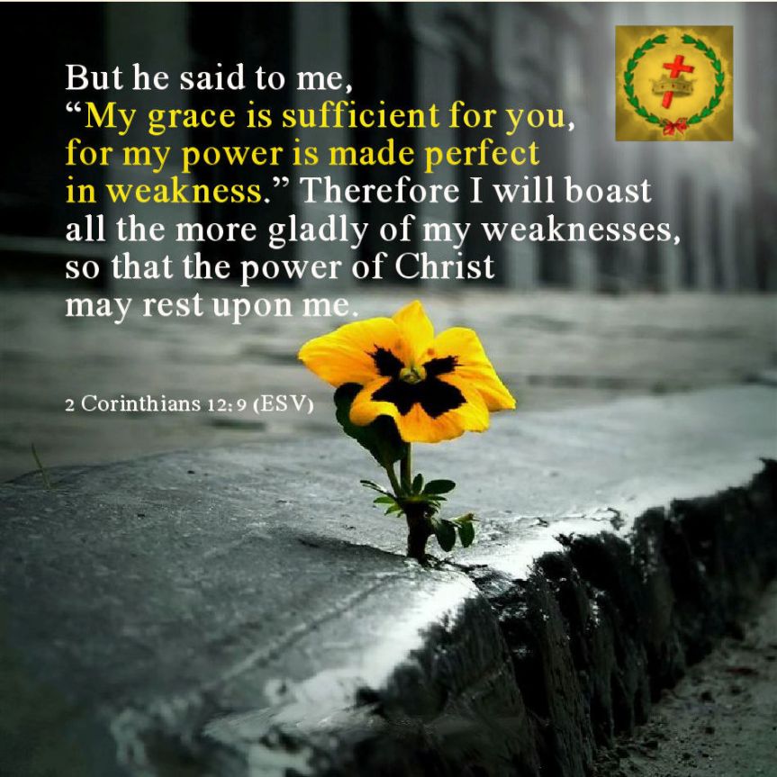 6. ALL PRAISE BELONGS TO HIM.jpg