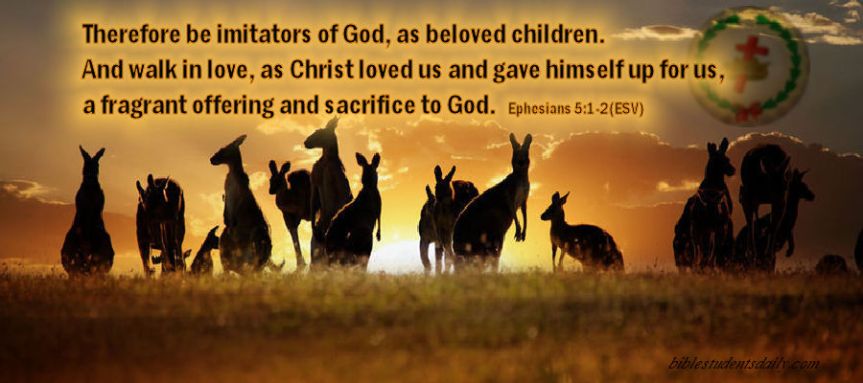 kangourous-australia website - WITH ADDRESS