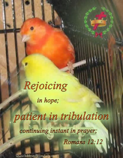 Romans 12, 12 with address.jpg