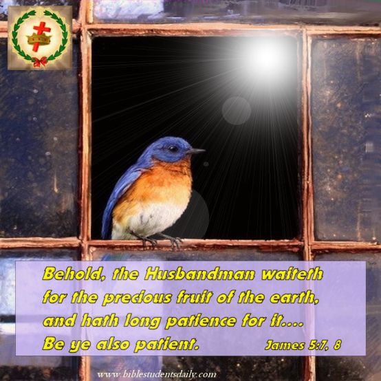 JAMES 5, 7-8.jpg