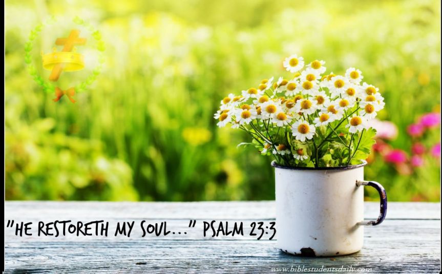 shutterstock_259693643-1080x670