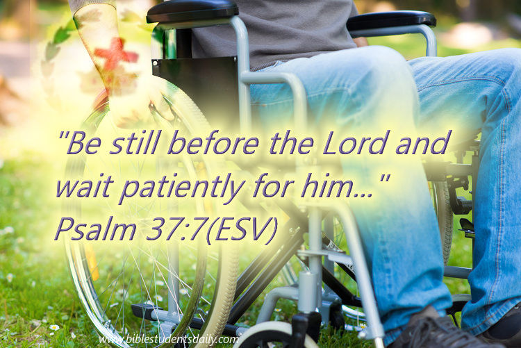 man in wheelchair - c&ad..jpg