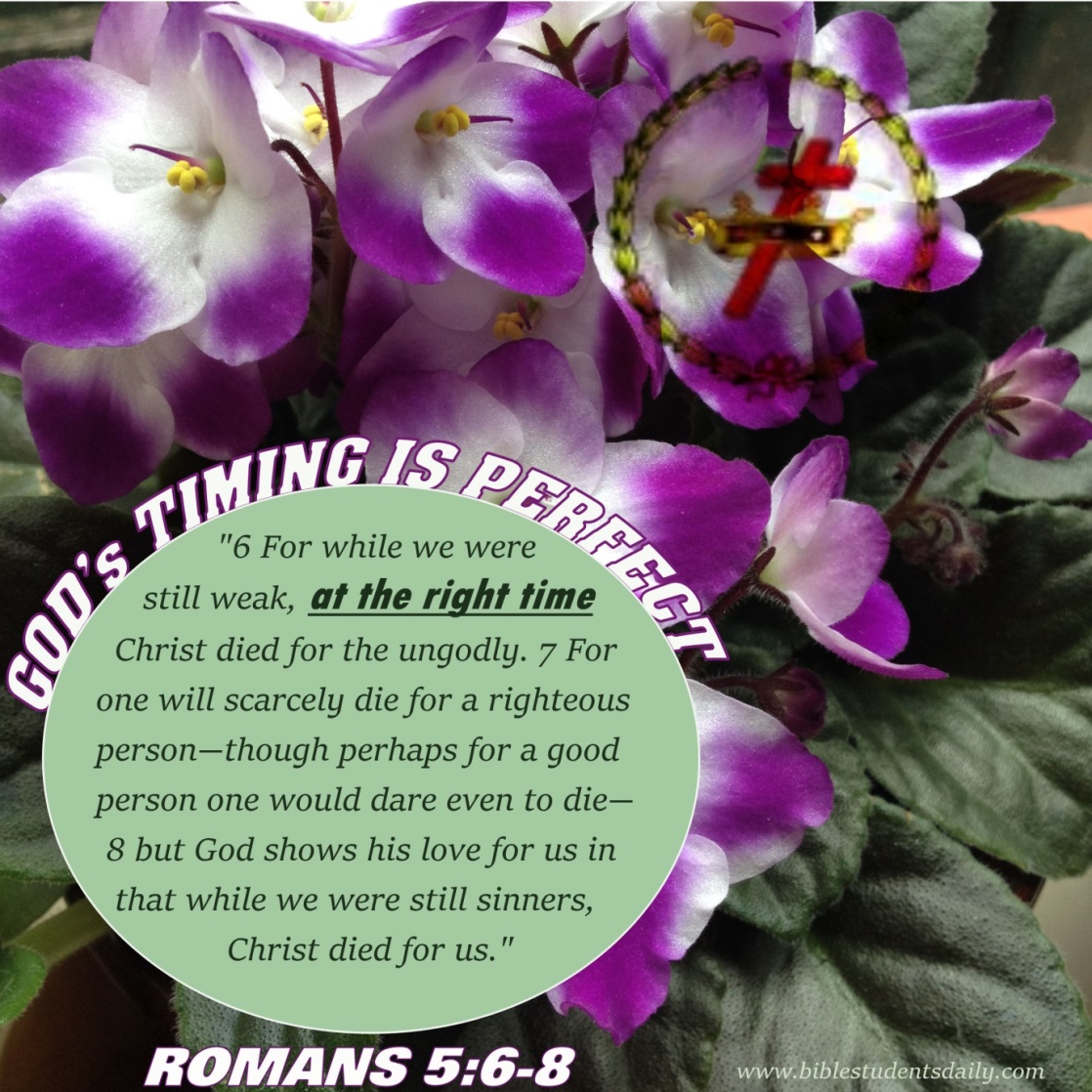 Romans 5, 6-8.jpg