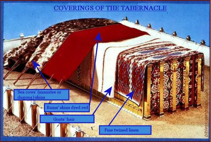 The Tabernacle Coverings.jpg