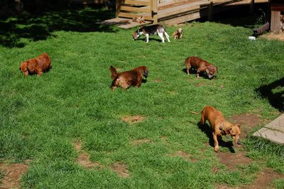 6a00d83451c9f669e20167678794a1970b-400wi