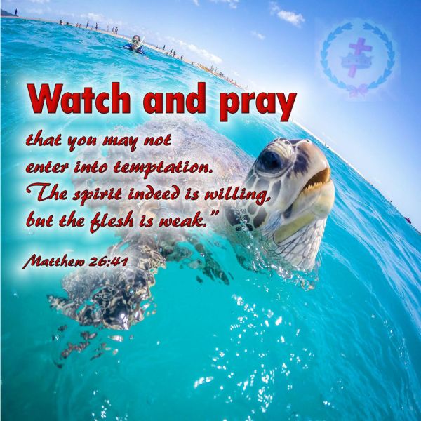 Mat 26 41 Bible Students Daily