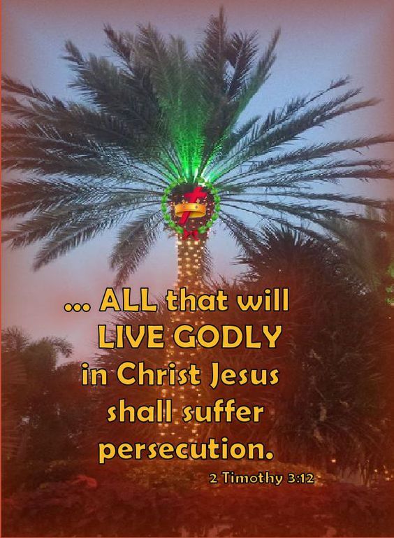 2-timothy-3-12.jpg