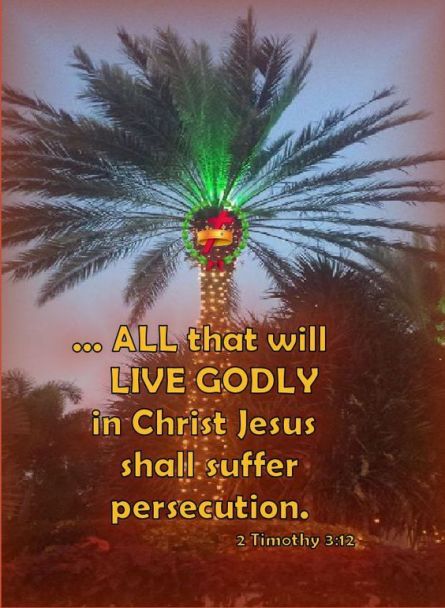 2-timothy-3-12.jpg