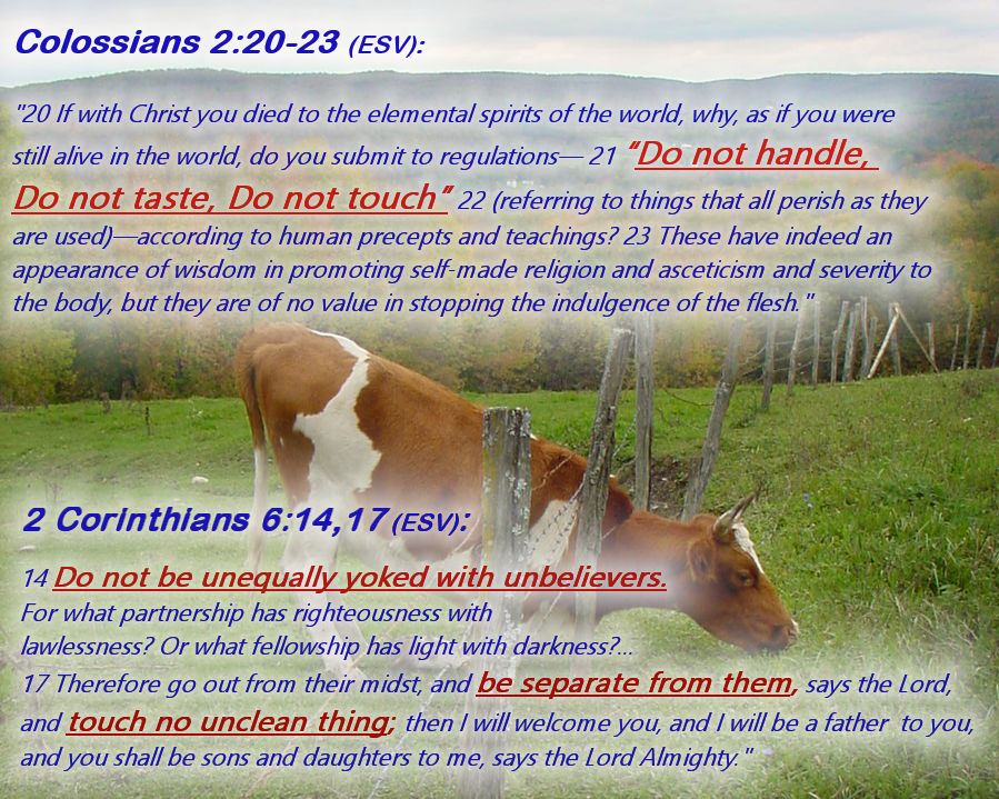 Colossians-2-20-23.jpg