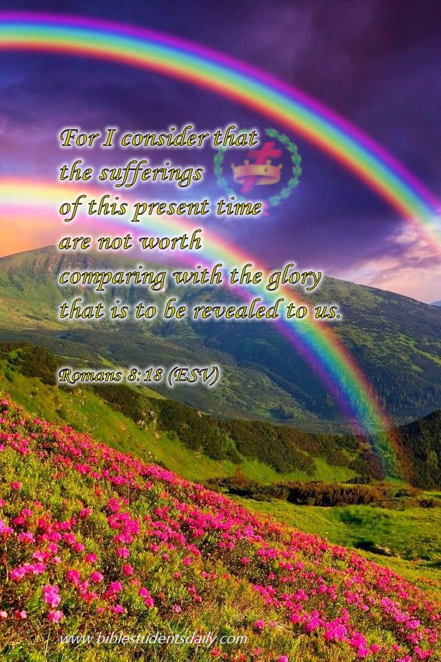 ROMANS 8, 18 - ad..jpg