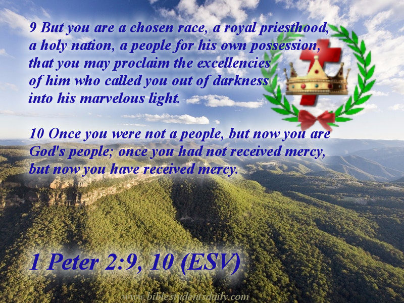 1 Peter 2, 9.jpg